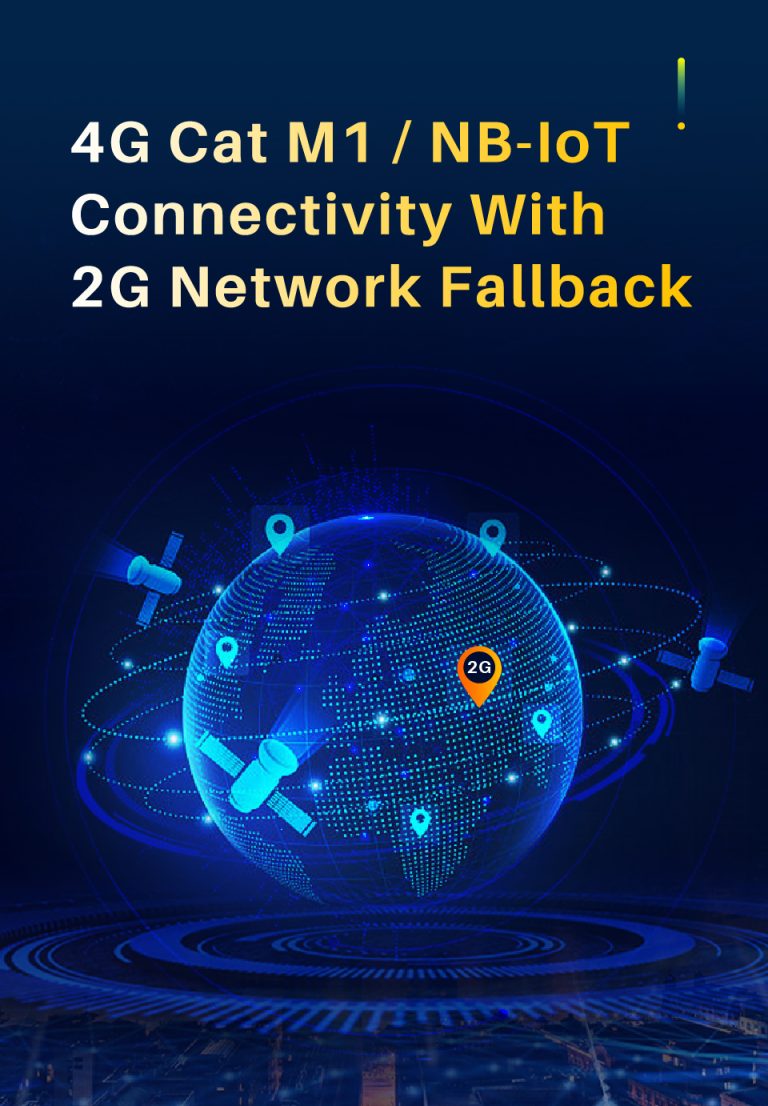 4G+2G Connectivity