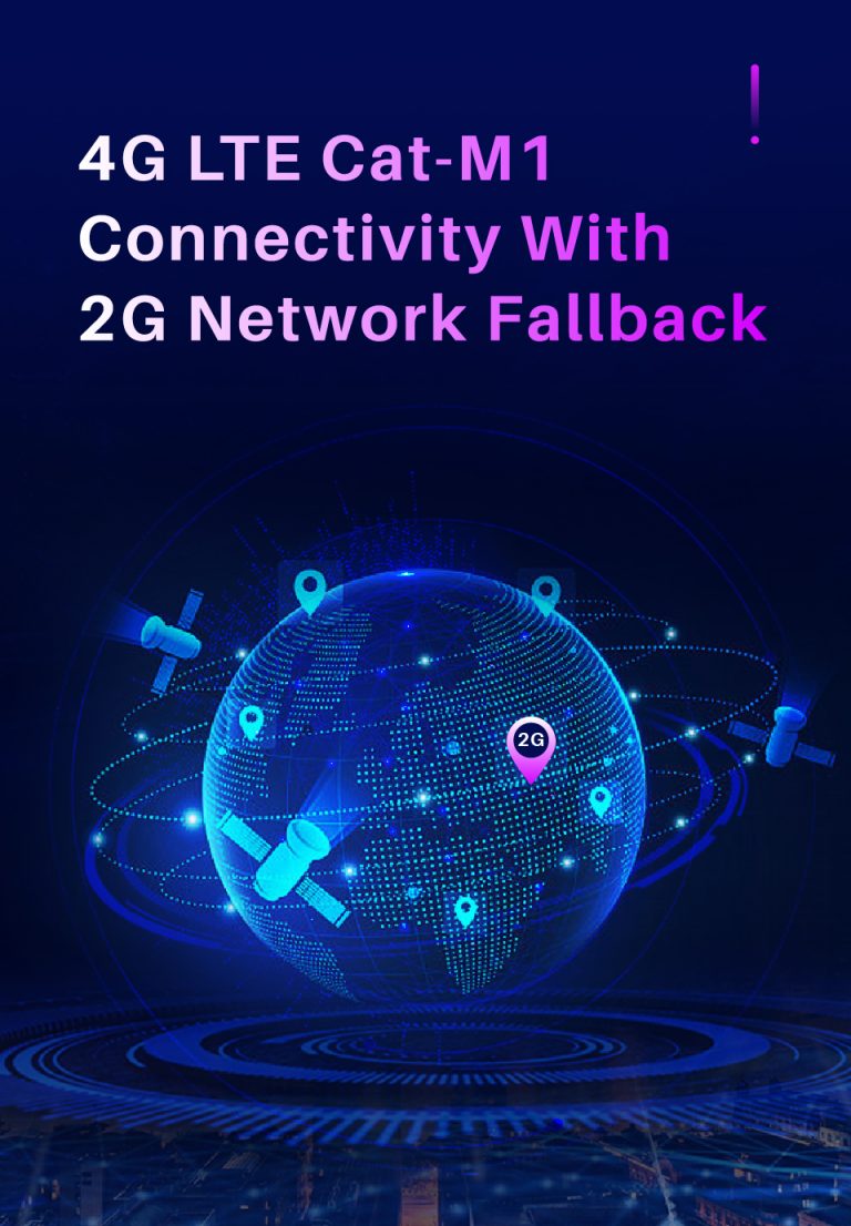 4G+2G Connectivity